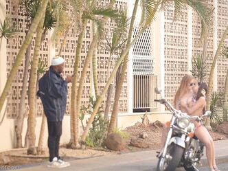 Смотрите, какие лапочки!