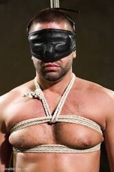 Госпожа, пощады!