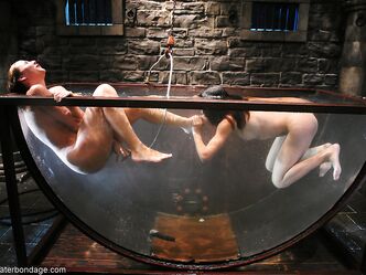 Это что то новенькое