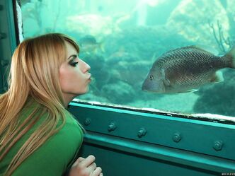 Скачки скачкам рознь